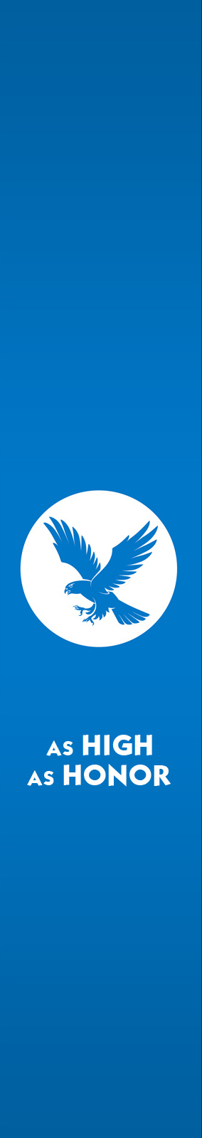 Banner of House Arryn